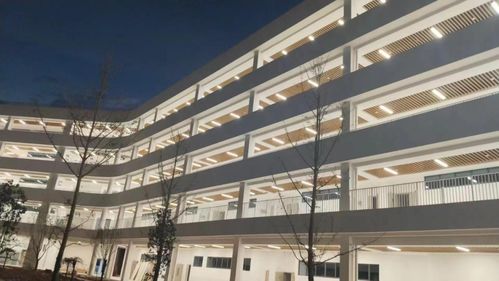 總投資4.2億元 麗水一所新學(xué)校建成,今年9月投入使用